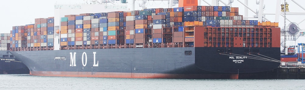 slide show manica home